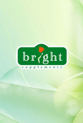 طراحی سایت شرکت Bright Supplements هلند